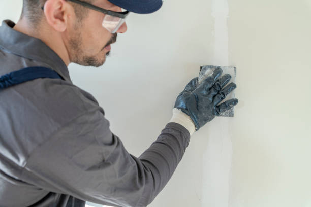 Best Commercial Painting  in Rhinelander, WI